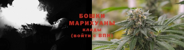 ПСИЛОЦИБИНОВЫЕ ГРИБЫ Аркадак