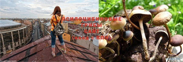 скорость mdpv Приозерск